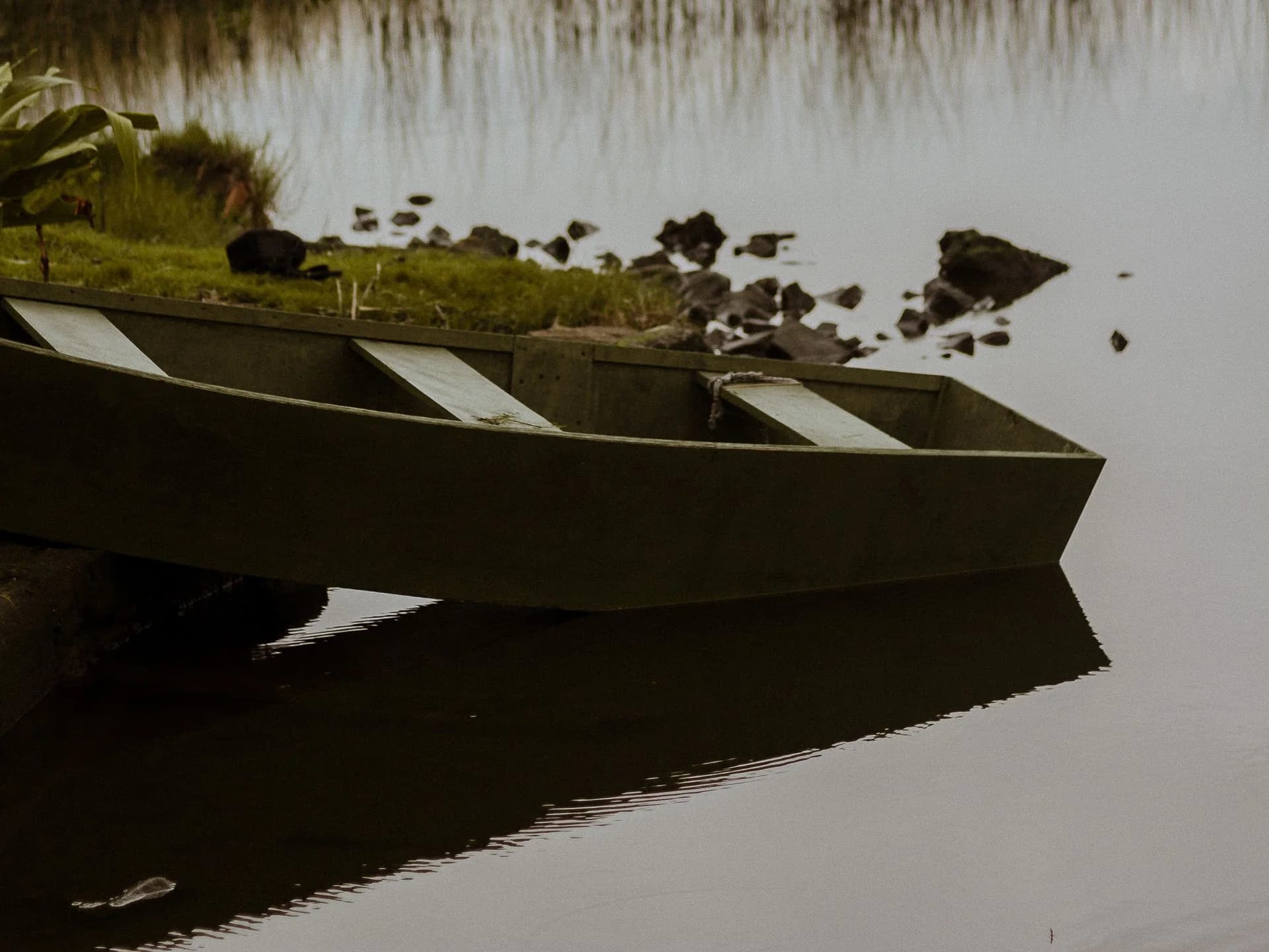 A small boat beside a wooded lakeshore.