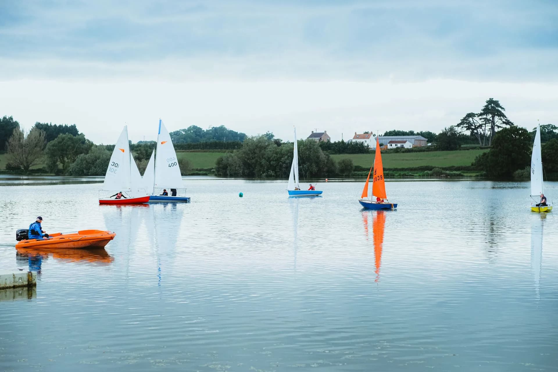 Small sailboats on calm water beside green countryside.