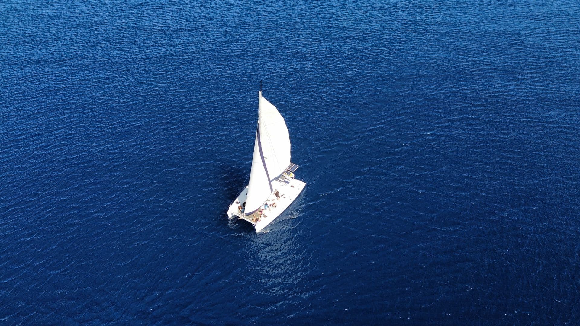 Sailboat with white sails navigating deep blue open water
